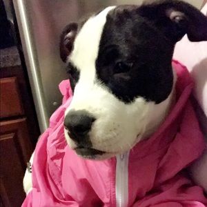 Meet your Posher, Shatima